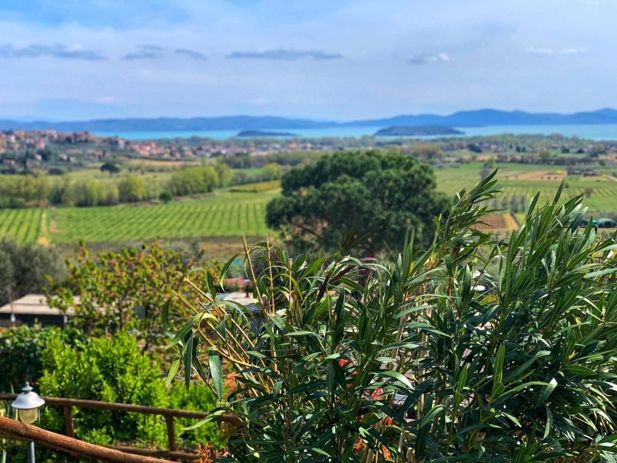 Agriturismo Annibale Tuoro sul Trasimeno Zewnętrze zdjęcie