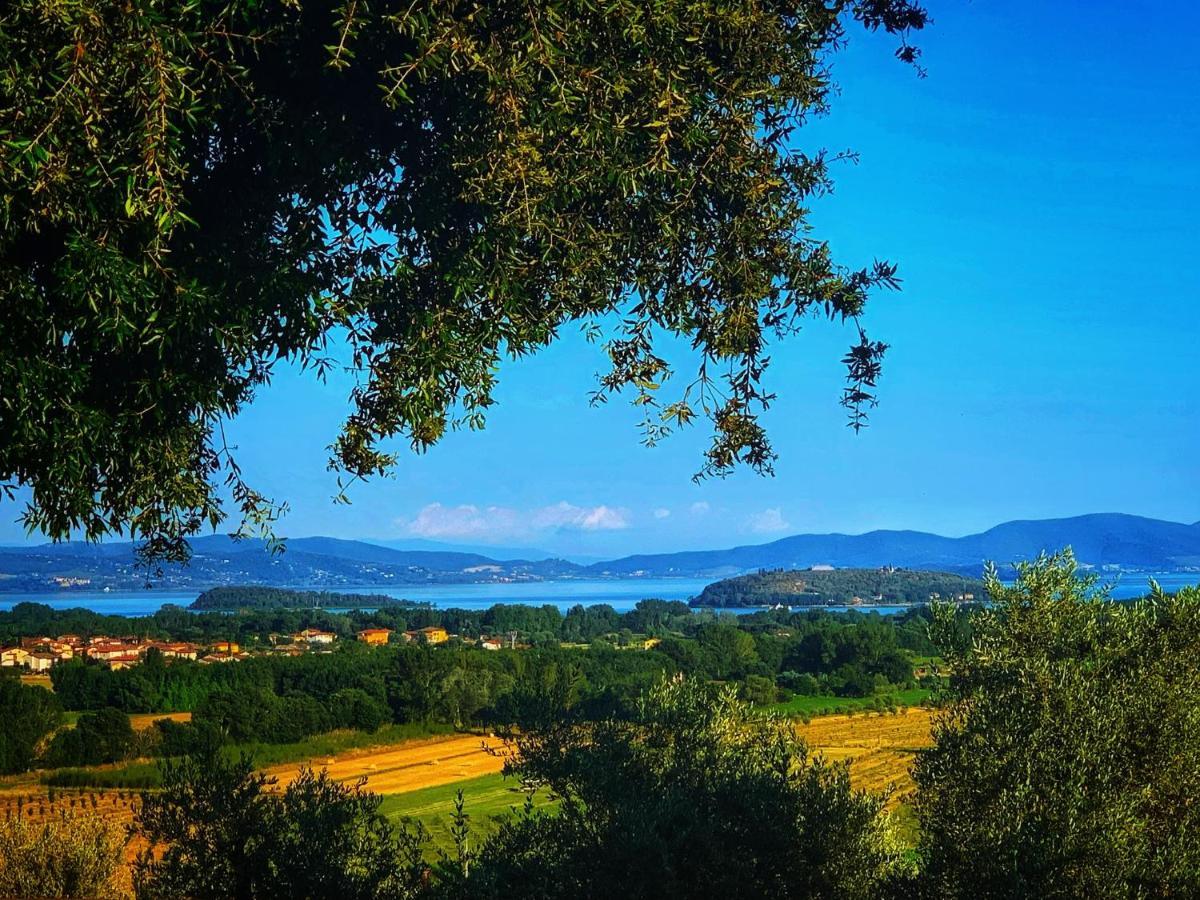 Agriturismo Annibale Tuoro sul Trasimeno Zewnętrze zdjęcie