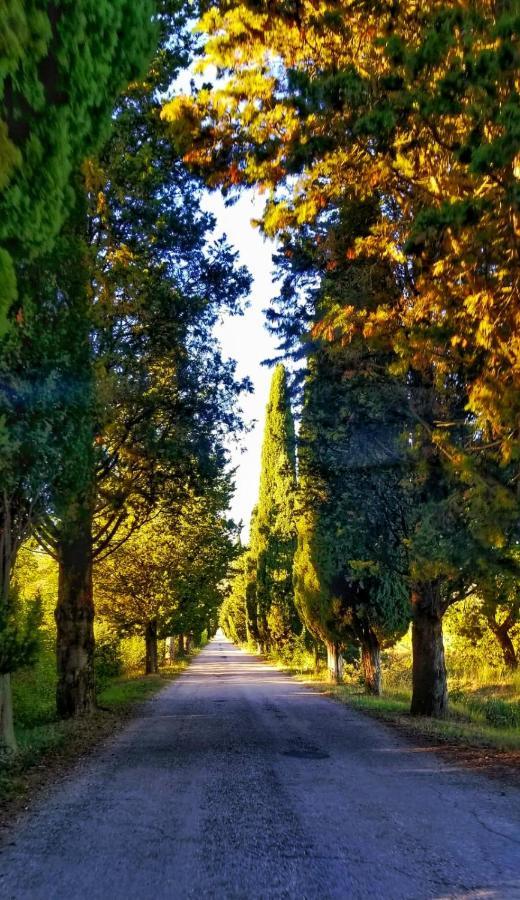 Agriturismo Annibale Tuoro sul Trasimeno Zewnętrze zdjęcie