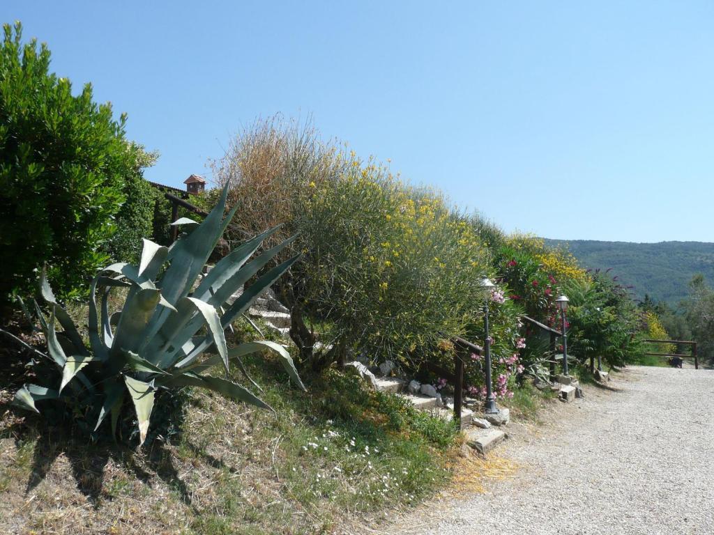 Agriturismo Annibale Tuoro sul Trasimeno Zewnętrze zdjęcie